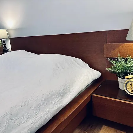 Apartament Przy Rynku Apartment Poznan