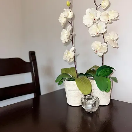 شقة Przy Rynku بوزنان