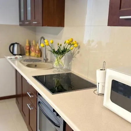 Apartament Przy Rynku * Poznan